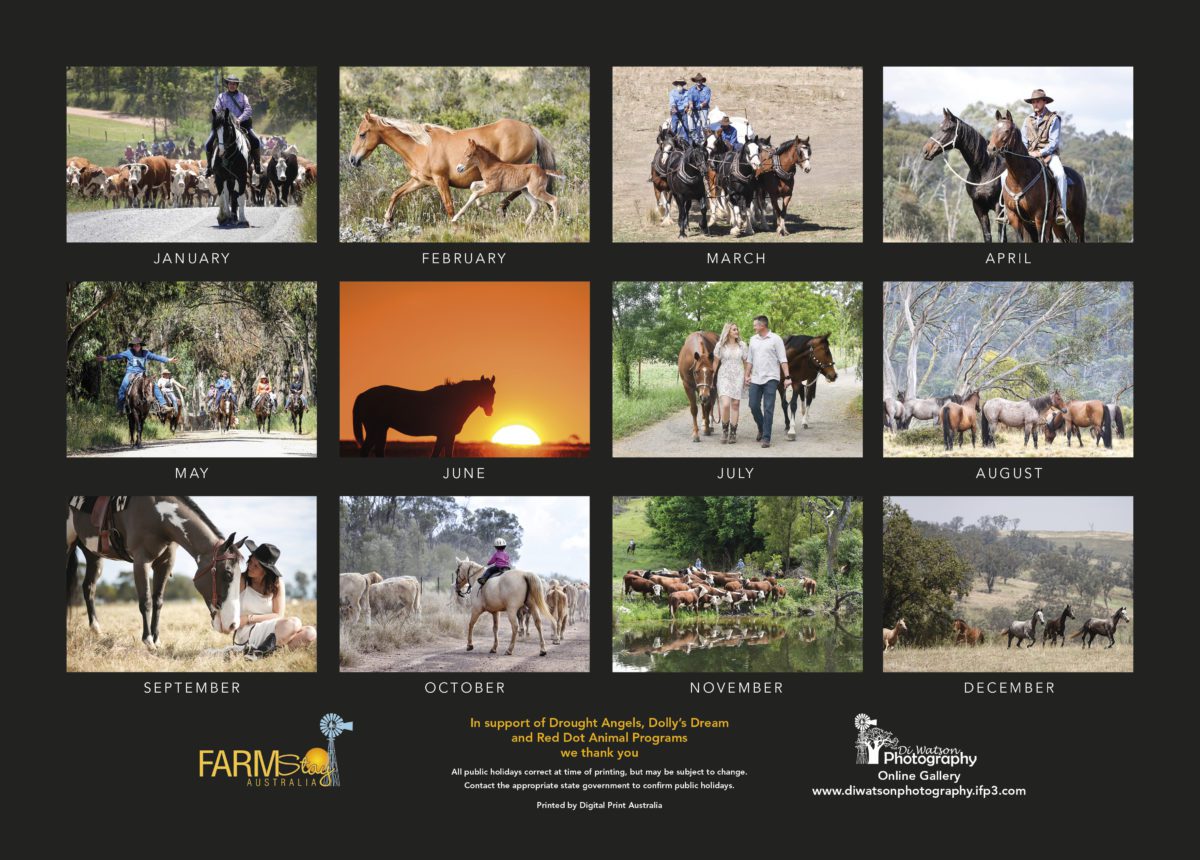 6 Life's Trusty Steeds 2023 Back Cover